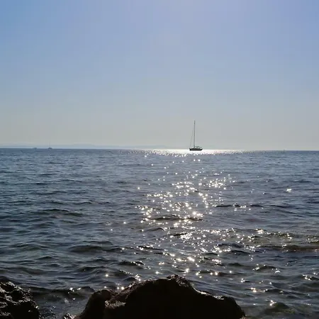 Nada * Zadar